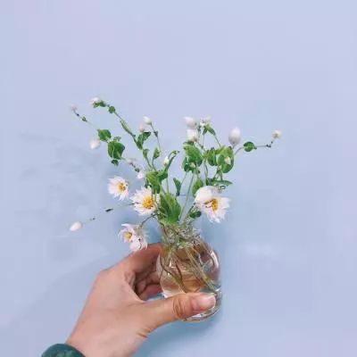 天下霸业满v版下载